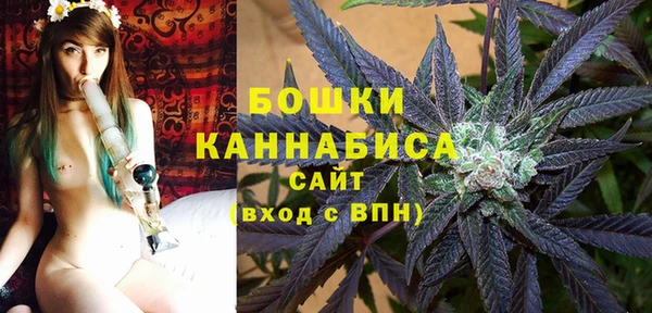 сатива Аркадак