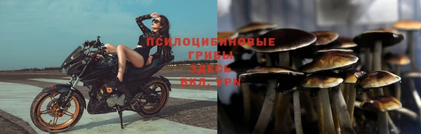 хмурый Балахна