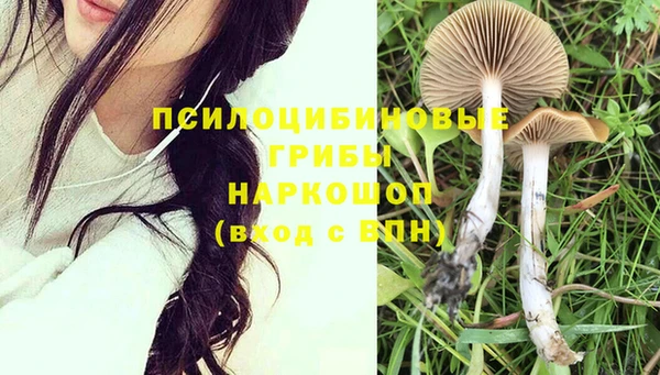 бошки Баксан
