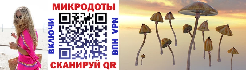Псилоцибиновые грибы ЛСД Купить Нерчинск